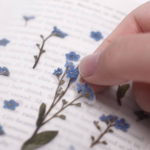 Stickers de Flores Prensadas Forget Me Not