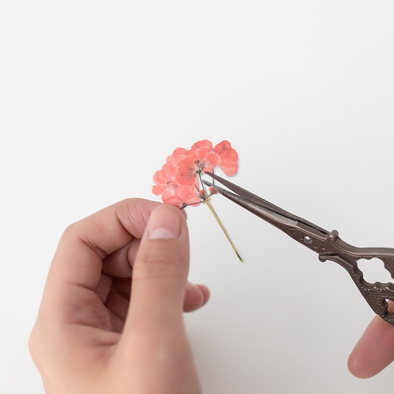 Stickers de Flores Prensadas Geranium