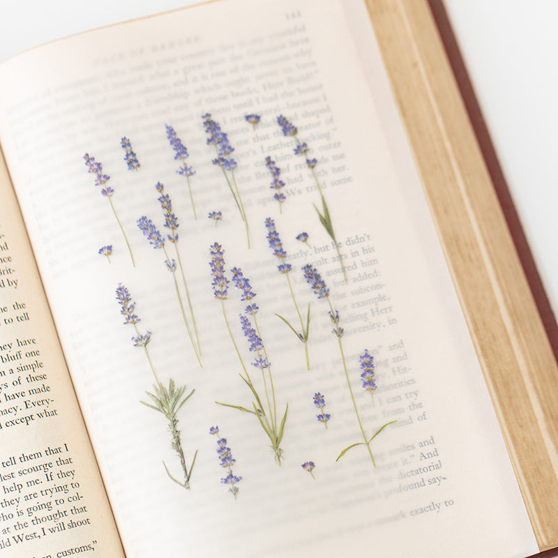 Stickers de Flores Prensadas Lavender