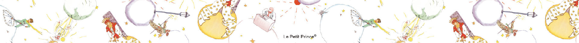 Washi Tape MT x Le Petit Prince People Met Along The Way