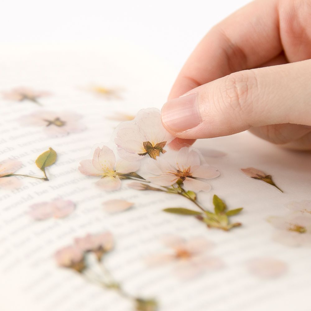 Stickers de Flores Prensadas Cherry Blossom