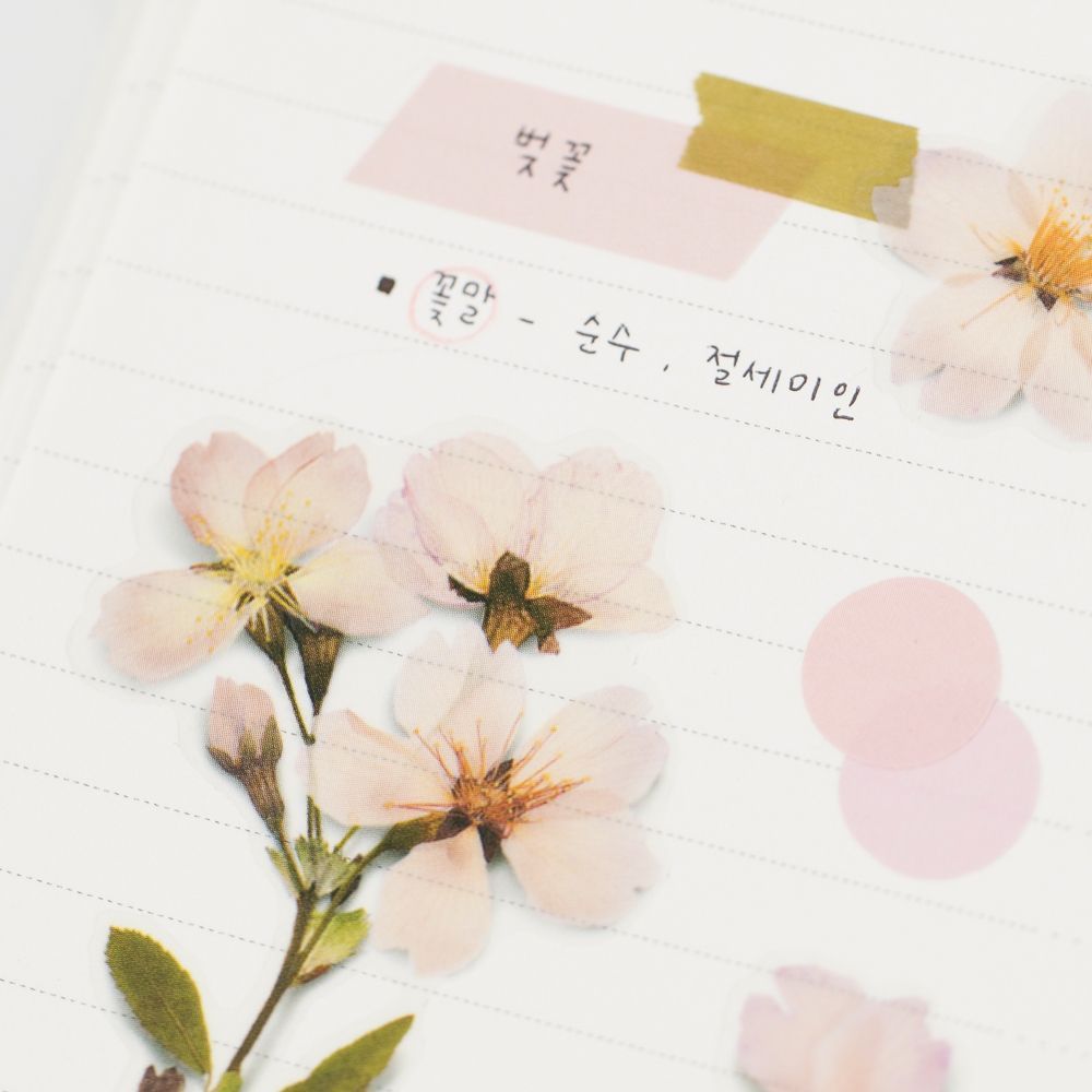 Stickers de Flores Prensadas Cherry Blossom