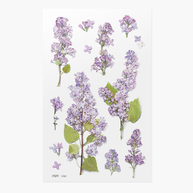 Stickers de Flores Prensadas Lilac