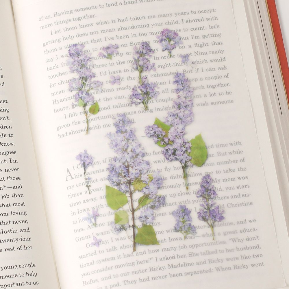 Stickers de Flores Prensadas Lilac