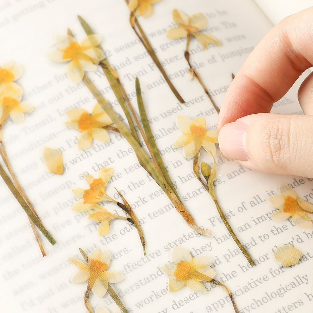 Stickers de Flores Prensadas Narcissus