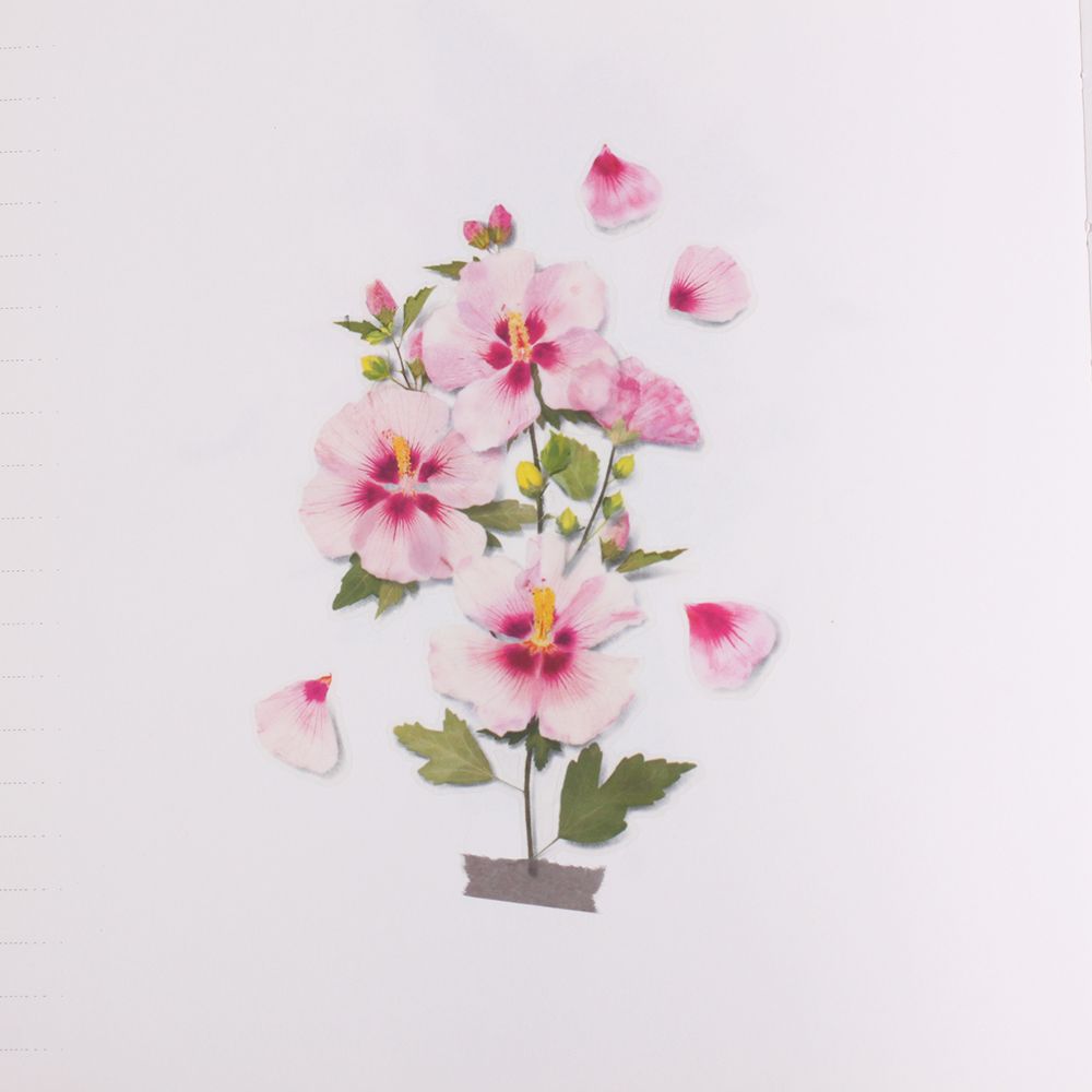 Stickers de Flores Prensadas Rose Of Sharon