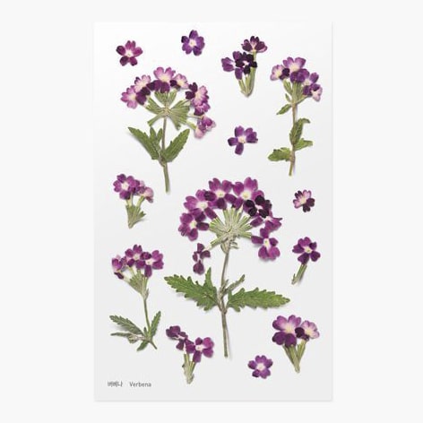 Stickers de Flores Prensadas Verbena