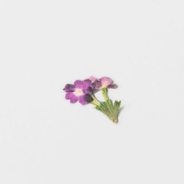 Stickers de Flores Prensadas Verbena