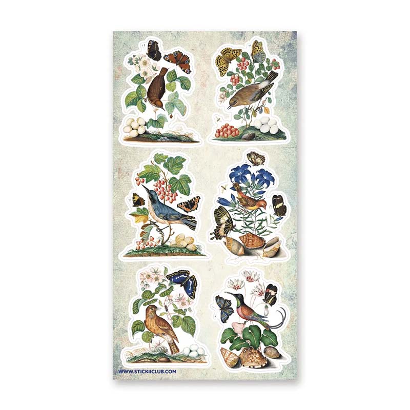 Stickers Bird & Butterfly Watching
