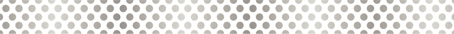 Washi Tape Dot Silver