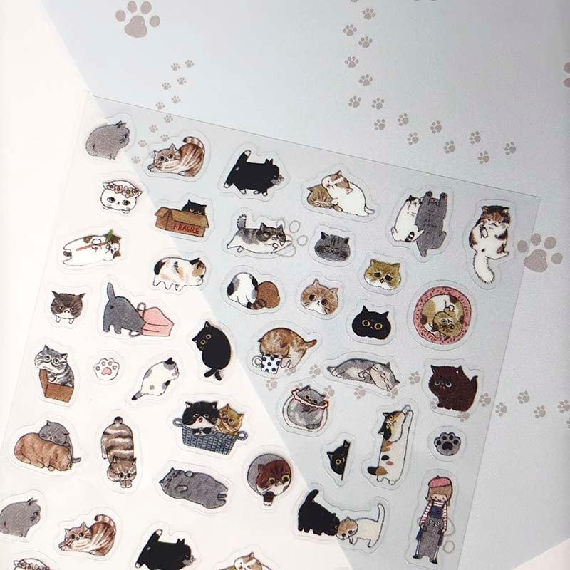 Stickers Exotic Shorthair