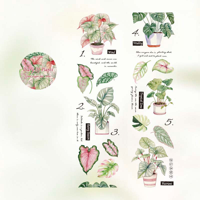 PET Tape Green Oxygen Plant Series Diary Of Plants