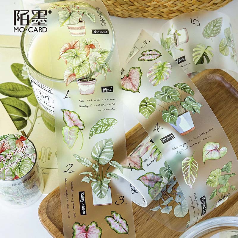 PET Tape Green Oxygen Plant Series Diary Of Plants