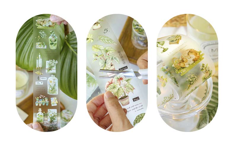 PET Tape Green Oxygen Plant Series Natural Notes