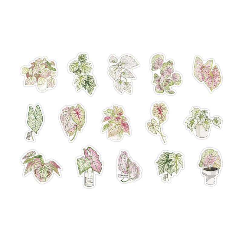 Stickers Green Plant Research Centre Colored Taro