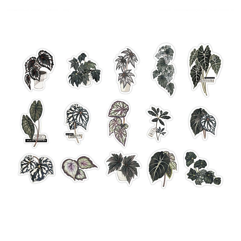 Stickers Green Plant Research Centre Giant Taro