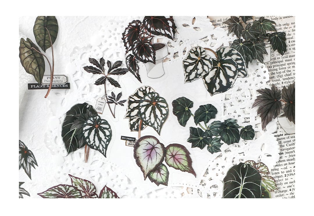 Stickers Green Plant Research Centre Giant Taro