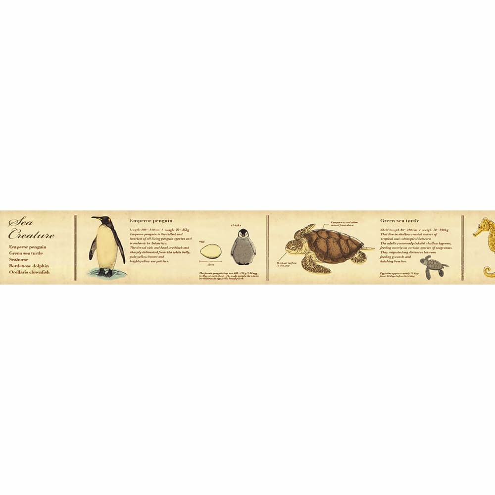 Washi Tape Encyclopedia Marine Creature