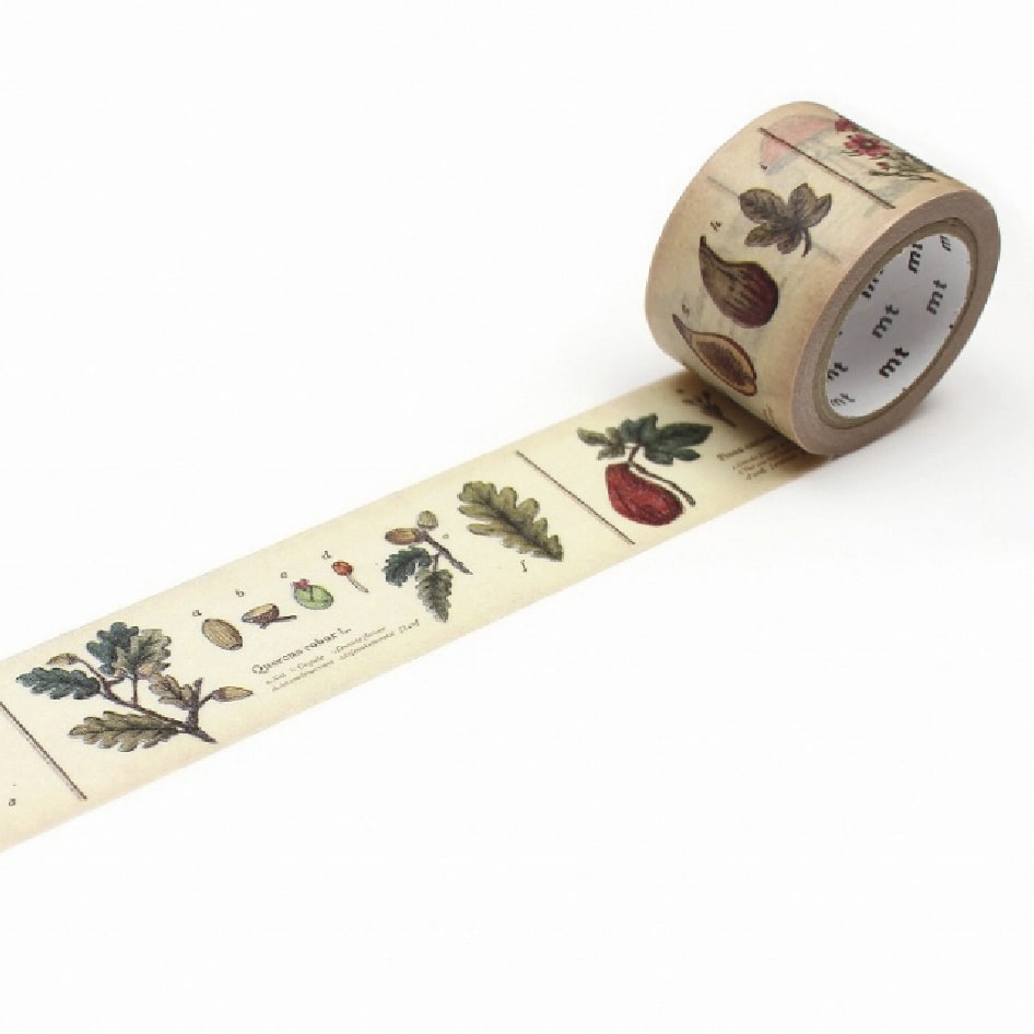 Washi Tape Encyclopedia Plant
