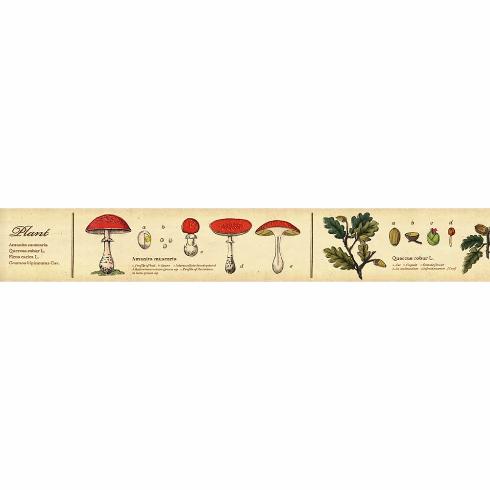 Washi Tape Encyclopedia Plant