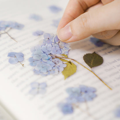 Stickers de Flores Prensadas Hydrangea