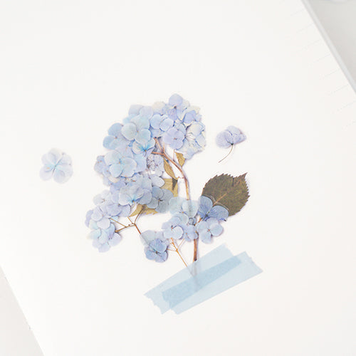 Stickers de Flores Prensadas Hydrangea