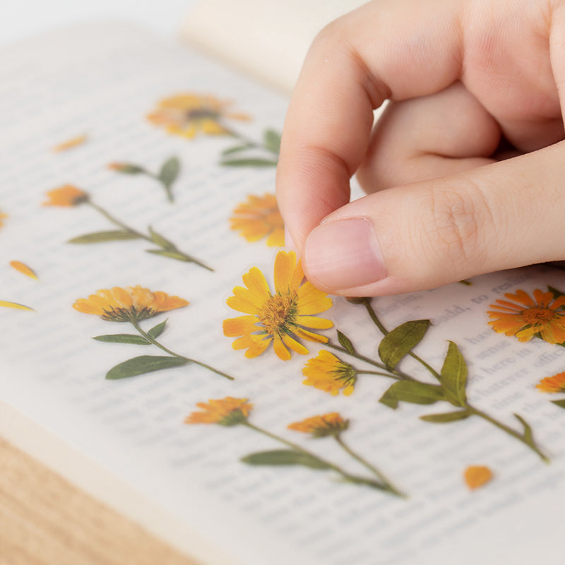 Stickers de Flores Prensadas Calendula