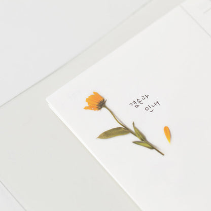 Stickers de Flores Prensadas Calendula