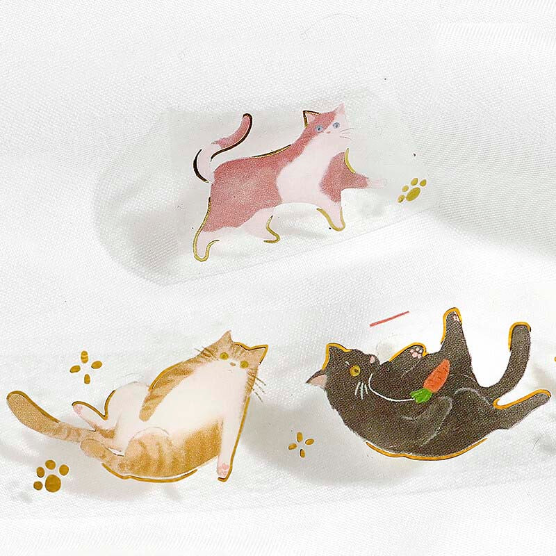 Clear Tape Cat Play