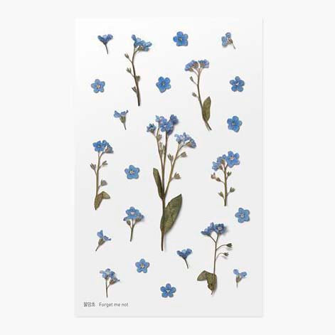 Stickers de Flores Prensadas Forget Me Not