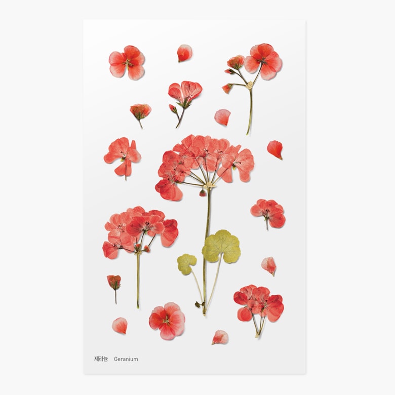 Stickers de Flores Prensadas Geranium