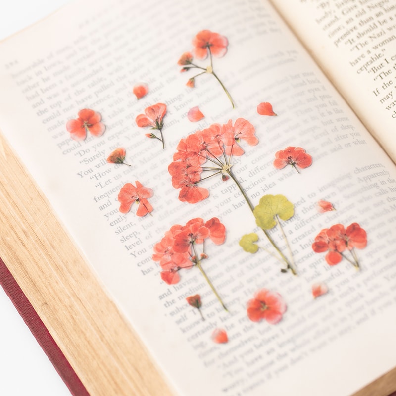 Stickers de Flores Prensadas Geranium
