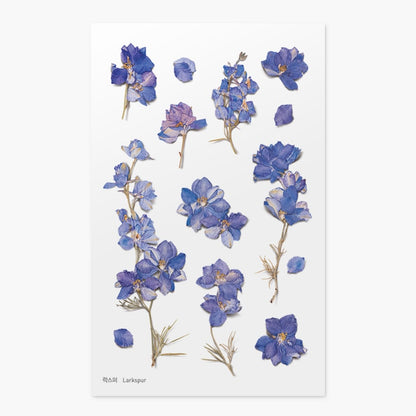 Stickers de Flores Prensadas Larkspur