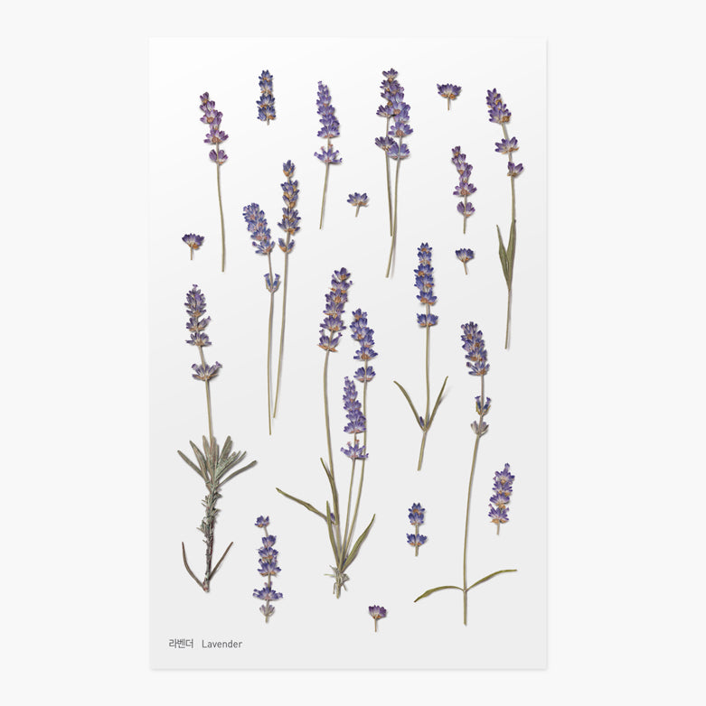 Stickers de Flores Prensadas Lavender