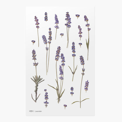 Stickers de Flores Prensadas Lavender