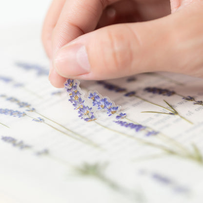 Stickers de Flores Prensadas Lavender