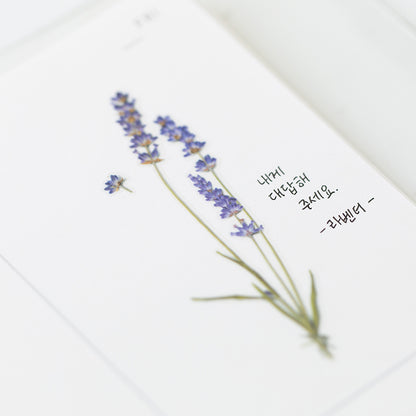 Stickers de Flores Prensadas Lavender
