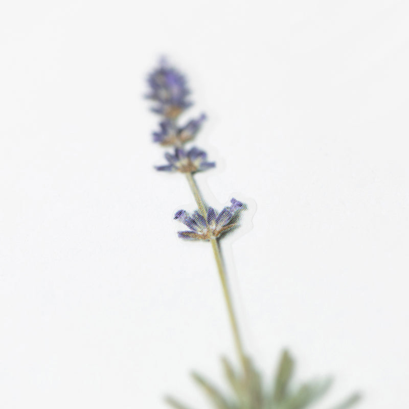 Stickers de Flores Prensadas Lavender