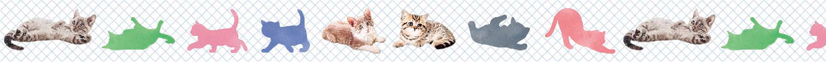 Washi Tape Baby Cat