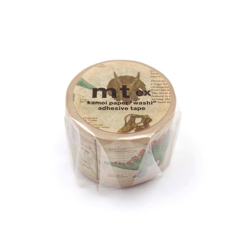 Washi Tape Encyclopedia Dinosaur