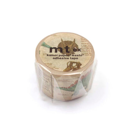 Washi Tape Encyclopedia Dinosaur
