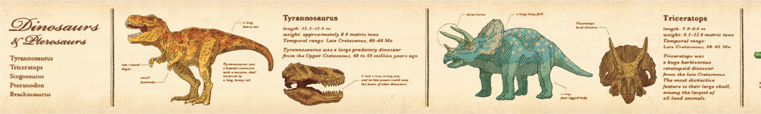 Washi Tape Encyclopedia Dinosaur