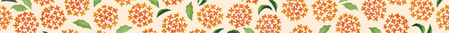 Washi Tape MT x Maruichikyu Osmanthus