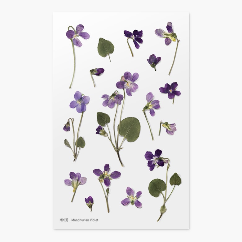 Stickers de Flores Prensadas Manchurian Violet