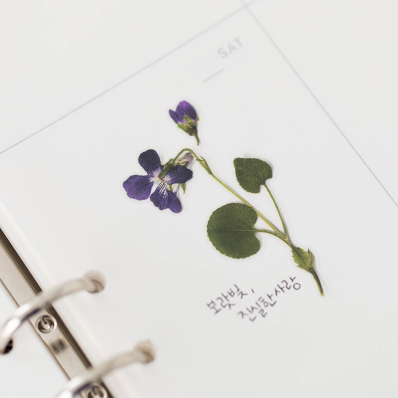 Stickers de Flores Prensadas Manchurian Violet