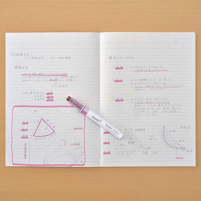Subrayador de Doble Punta Mark+ 2 Tone Pink