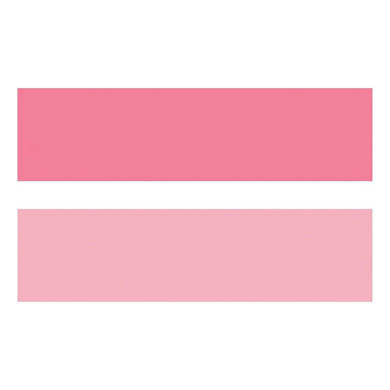 Subrayador de Doble Punta Mark+ 2 Tone Pink