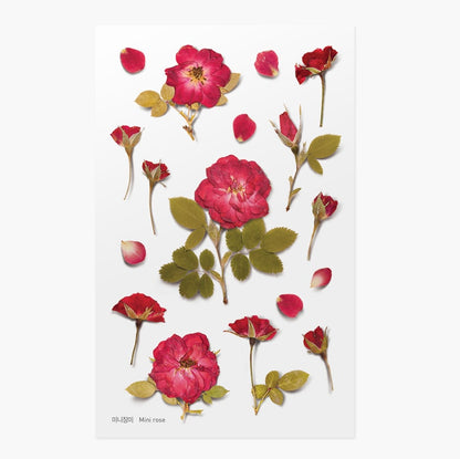 Stickers de Flores Prensadas Mini Rose