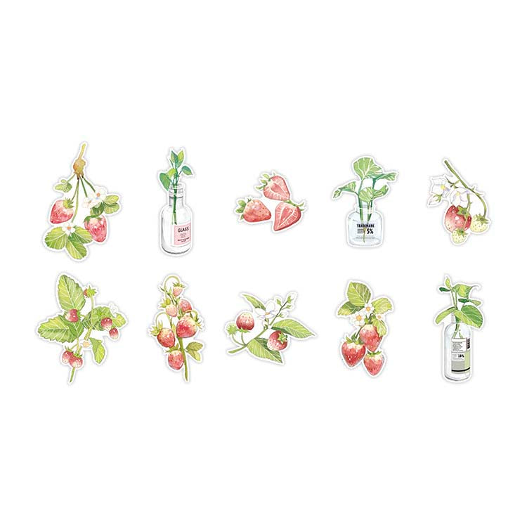 Stickers Plant and Flower Journal Strawberry