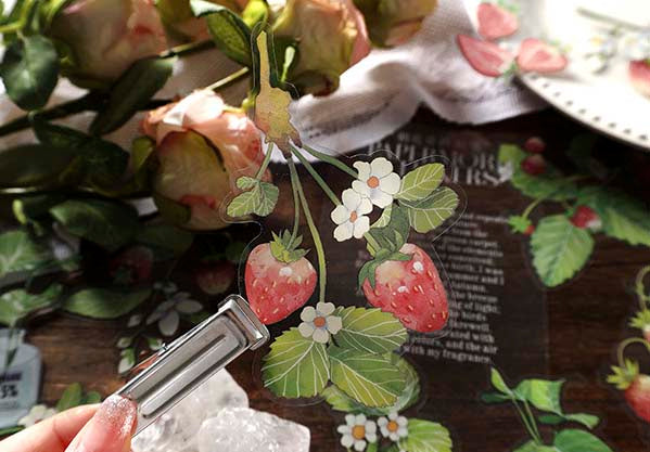 Stickers Plant and Flower Journal Strawberry